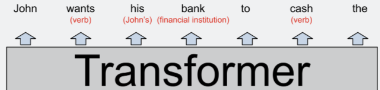 A layer where words are getting annotated